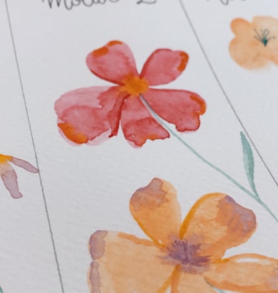 Violeta Luján - 3 motivos florales dibujados con acuarelas - 6