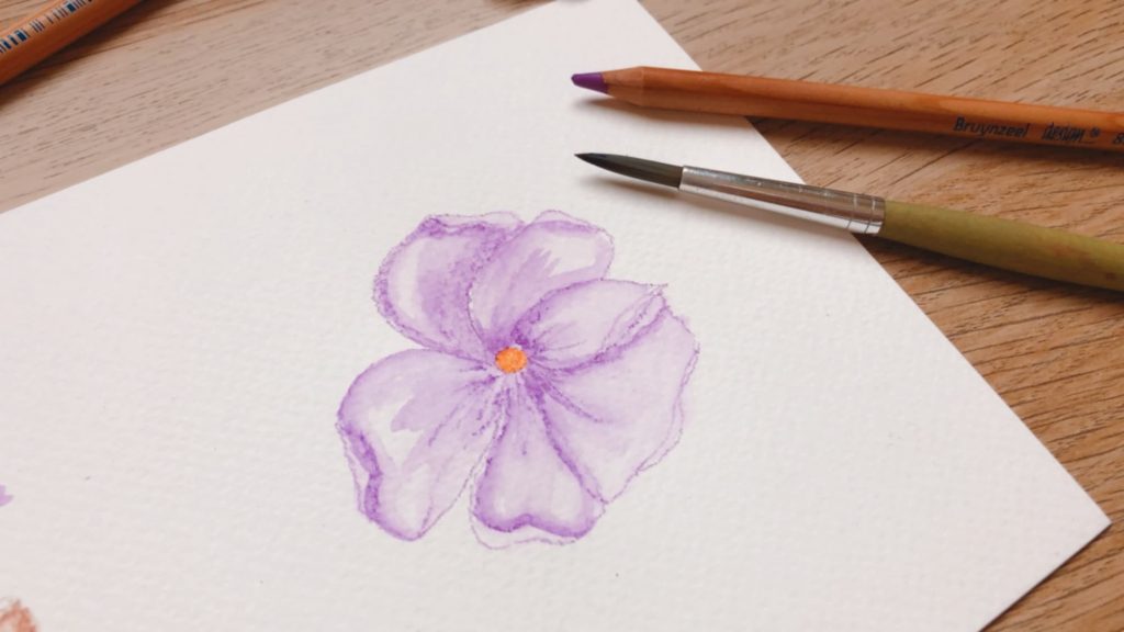 Violeta Luján - Como pintar con lapices acuarelables - 7
