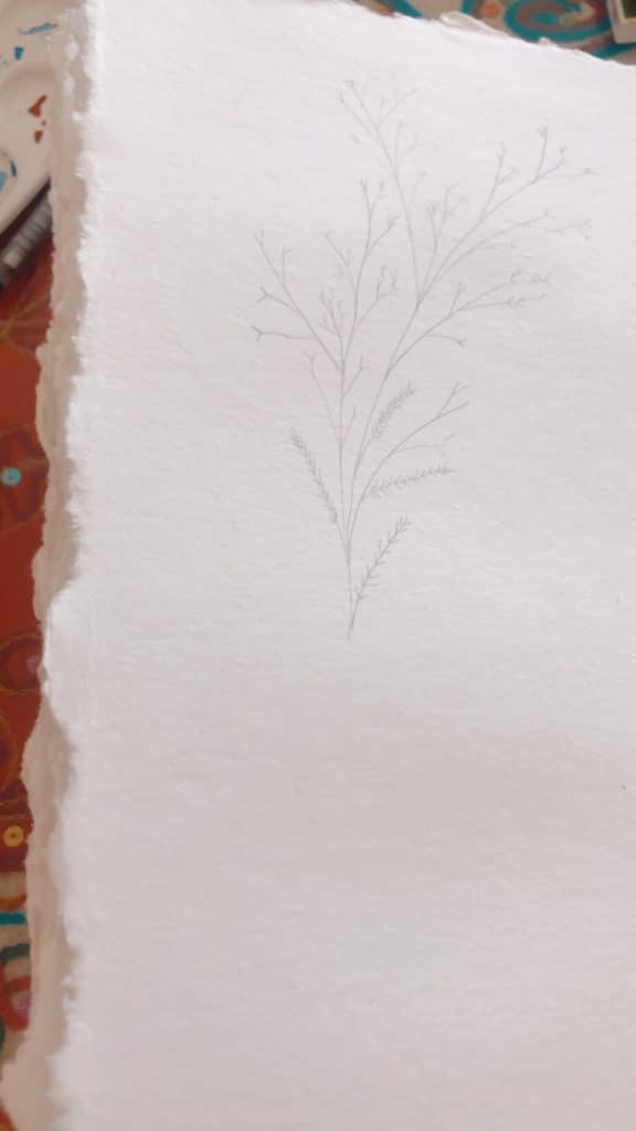 Violeta Luján - Como pintar la flor mimosa en acuarela paso a paso - 2