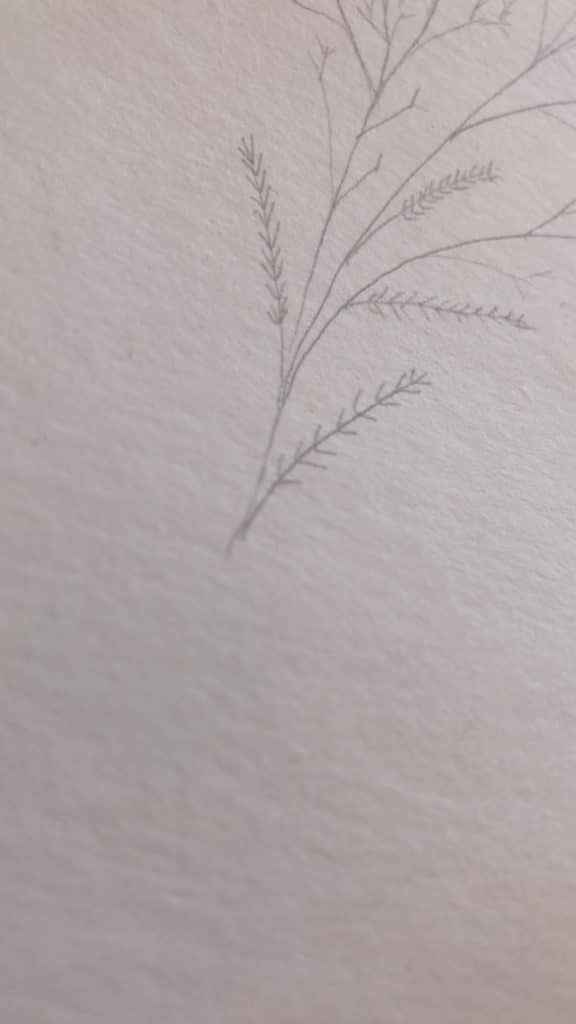 Violeta Luján - Como pintar la flor mimosa en acuarela paso a paso - 3